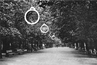  Центральный парк